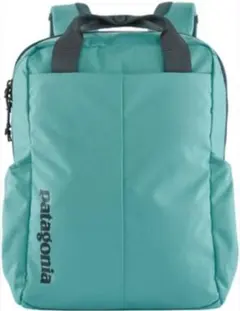 パタゴニア　リュック20L グリーン系✖️グレーのサムネイル
