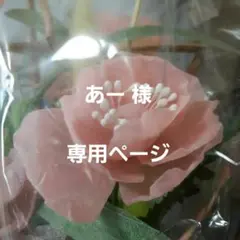 ♡　あー様専用 X'mas木の実花材セット　♡