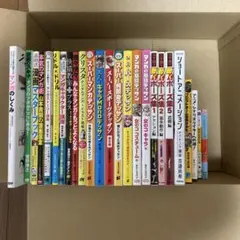 夏目友人帳 23巻まで&小説 抜けあり ほぼ初版 ほぼ帯あり - メルカリ