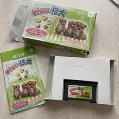 かわいい仔犬