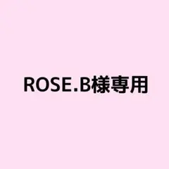 ROSE.B様専用ページ