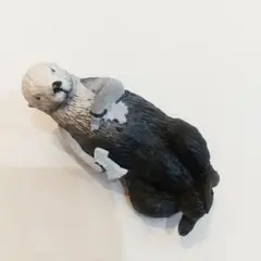 ラッコのキラちゃん　トレカ2枚セット（レア、ノーマル） 2025年最新】鳥羽水族館 メイキラの人気アイテム - メルカリ