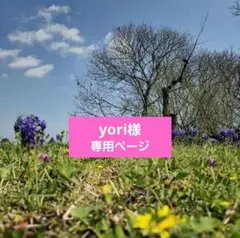 yori様専用ページです