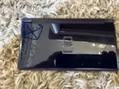 DS lite