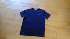 LACOSTE ラコステ Tシャツ ネイビー