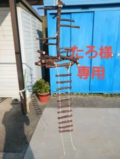 Item thumbnail for item 7c64cacd-4d0d-48d6-878a-b9eb1dc9b39b