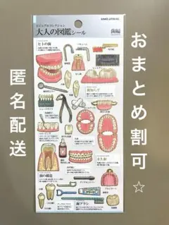 【新品未使用】大人の図鑑　歯編