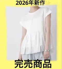 セール！　ナノユニバース　シャーリングビスチェドッキングカットトップスのサムネイル