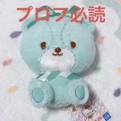 サンリオ タイニーチャム カラフルアイスクリームBIGぬいぐるみ ライトグリーン