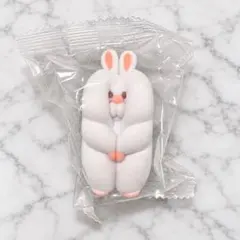 틈새 햄스터 장갈리안 스노우 화이트