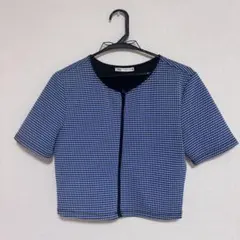ZARA 半袖トップス