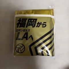 バレーボールアジア選手権2026福岡 スティックバルーン