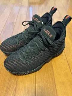 Nike LeBron XVI 16 Fresh Redバスケットボールシューズ - メルカリ