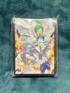ポケモンORAS、ハルカとルチアのDOKIDOKIコンテストライブ 巾着 - メルカリ