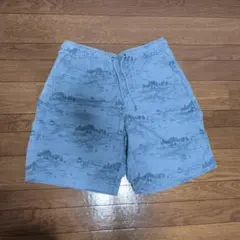 Item thumbnail for item bda297df-dbcb-488f-8e73-a55b07c9a4f3