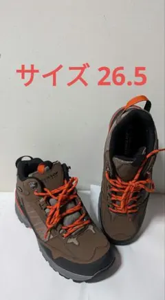 Item thumbnail for item eccd5513-d1f6-410f-bcaf-1c846ba5a575