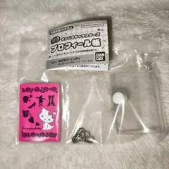 サンリオキャラクターズ　プロフィール帳　チャーミーキティ