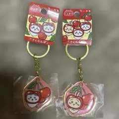 ご当地ちいかわ キーホルダー 山形 さくらんぼ ハチワレ うさぎ セット