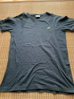 【LACOSTE 】Tシャツ　ラコステTシャツ　サイズ3