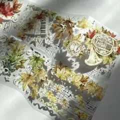 Item thumbnail for item 86ccb1b5-ec95-4450-8036-e422d7506657