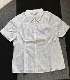 新品　ensuite ホワイトストライプ 半袖シャツ TL7 大きいサイズ　3Lのサムネイル