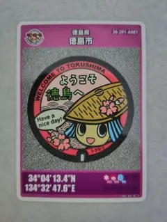 Item thumbnail for item 29e67a2d-0a5a-48aa-8b3f-2f0684fe412c