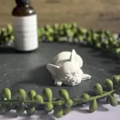 Gaospike様 リクエスト 2点 まとめ商品