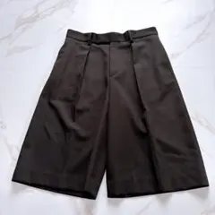 極美品✨ジャーナルスタンダードレサージュ 現行 Doeskinショートパンツのサムネイル