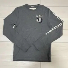 Abercrombie & Fitch 長袖カットソー S グレー