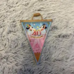 東京ディズニーリゾート 40th ガーランド