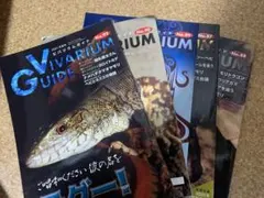 ビバリウムガイド　レプファン　雑誌　まとめ売り 2025年最新】ビバリウムガイドの人気アイテム - メルカリ