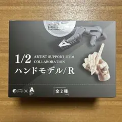 ハンドモデル 1/2