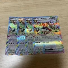 モトトカゲ　ex RR 4枚　②