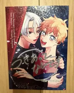 東京リベンジャーズ　同人誌　マイ武　つきあってないです