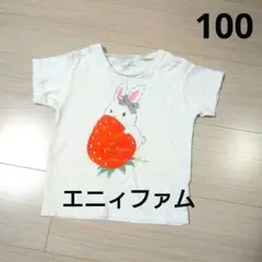 うさぎ 白 リボンTシャツ 仕掛けあり いちご