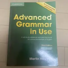 グラマーインユース