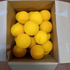 Item thumbnail for item 47474ee3-416e-4094-b4cc-30b618083907