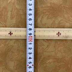 ホフマン✨58cm✨ブラウン系ぼかし地✨葉っぱ柄✨シーチング ✨生地ハギレ