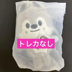 straykids 6期 ペンミ 韓国 バックパック スンミン トレカなし - メルカリ