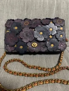 2026年最新】coach ティーローズの人気アイテム - メルカリ