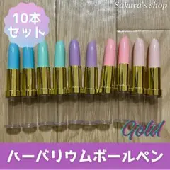 ハーバリウムボールペン リップ型ボールペン 10本セット
