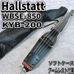 本日のみ値下げ　SWB LITE アップライトベース　コントラバス　ウッドベース ARIA SWB LITE アップライトベース ウッドベースコントラバス