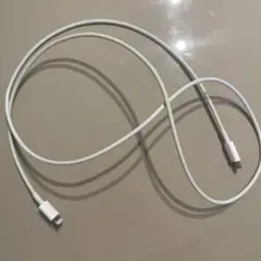 純正　ライトニングケーブル typeC