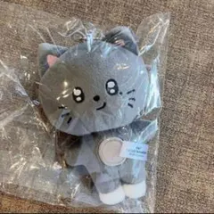 AHOF ハン10cm ぬいぐるみ popup ハニのサムネイル