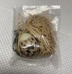 UZURA EGG うずらエッグ キーホルダー ノーマル割れ 赤 ガチャ