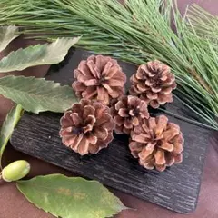 yumenoma様 リクエスト 2点 まとめ商品