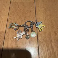 ポケモン メタルチャーム