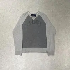 AMERICAN EAGLE M y2k アーチロゴ ラグラン スウェットのサムネイル