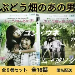 韓国ドラマDVD【ぶどう畑のあの男】全巻セット　レンタル落ち　韓流ドラマ