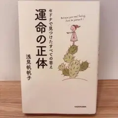 【最終値下げ】セドナで見つけたすべての答え 運命の正体 浅見帆帆子